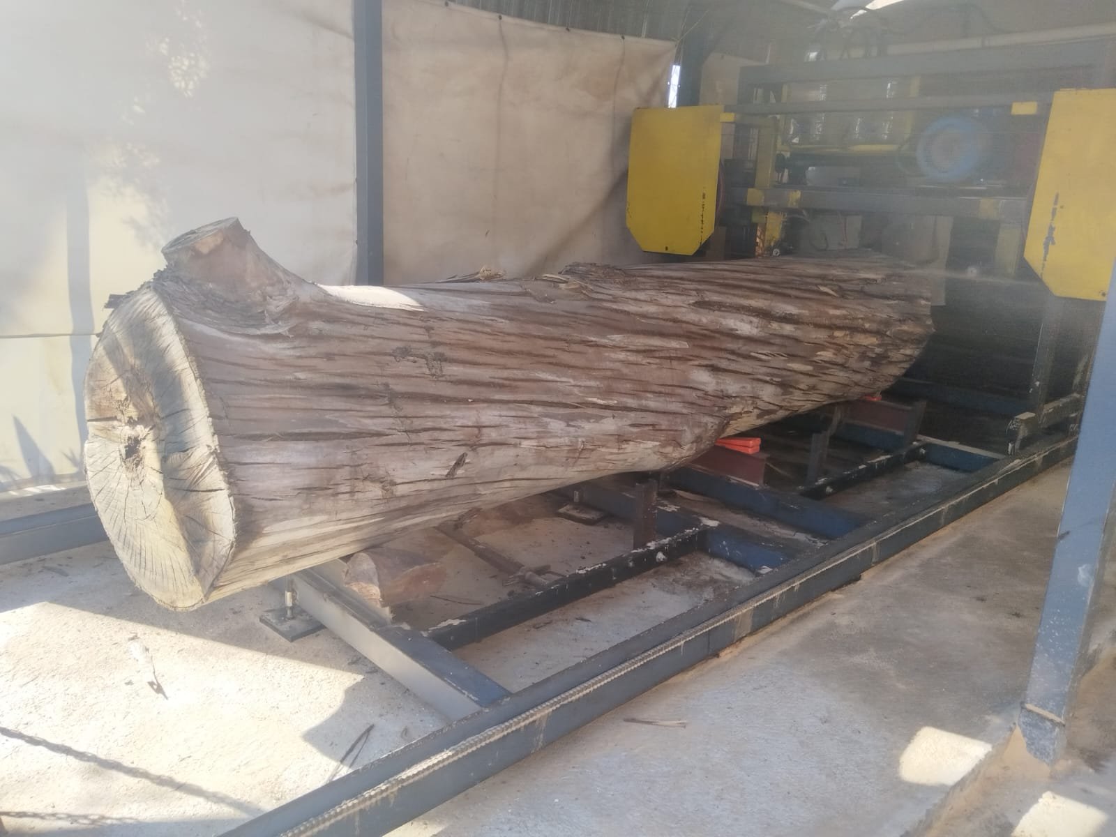 Hardwood slabs stacked at De Jager saw mill Benoni East Rand